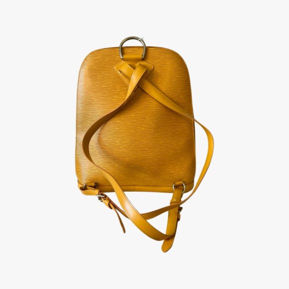 Louis Vuitton Yellow Epi Gobelins Backpack main image 5